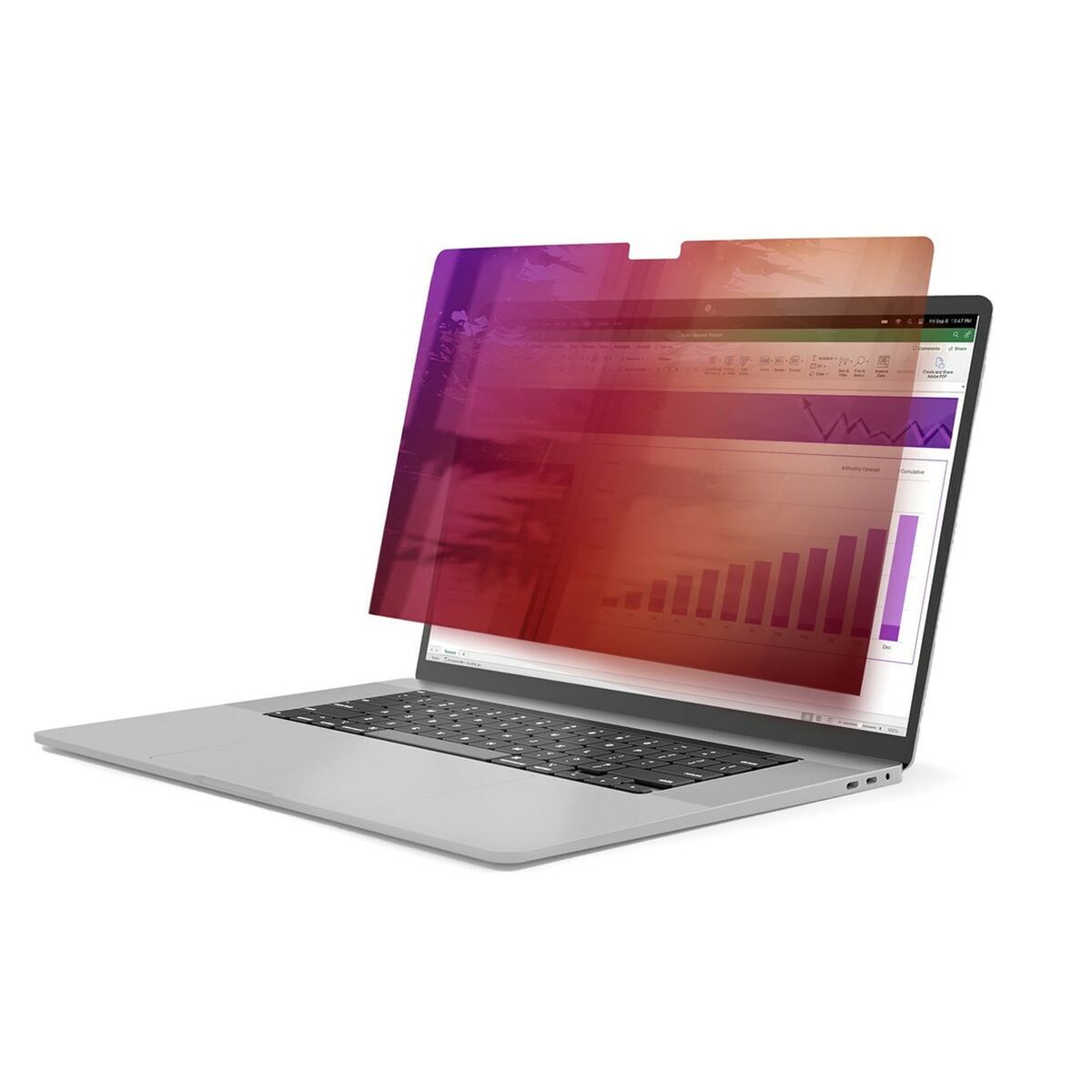 Privacy Filter for Monitor Startech 142MG-PRIVACY-SCREEN