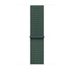 Watch Strap Apple MXL83ZM/A