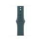 Watch Strap Apple MXL93ZM/A