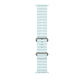 Watch Strap Apple MXTF3ZM/A