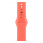 Watch Strap Apple MDRT4ZM/A M/L