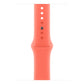 Watch Strap Apple MDT54ZM/A S/M