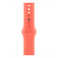 Watch Strap Apple MDT54ZM/A S/M