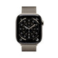 Smartwatch Apple MFCY4QL/A Titanium 46 mm