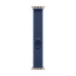 Watch Strap Apple MFT64ZM/A S/M 49 mm
