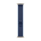 Watch Strap Apple MFT64ZM/A S/M 49 mm