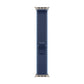 Watch Strap Apple MFT74ZM/A 49 mm M/L