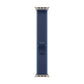 Watch Strap Apple MFT74ZM/A 49 mm M/L