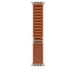 Watch Strap Apple MFTC4ZM/A M