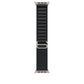 Watch Strap Apple MFTG4ZM/A L 49 mm