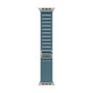 Watch Strap Apple MFTH4ZM/A S 49 mm