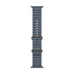 Watch Strap Apple MGCC4ZM/A 49 mm