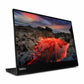 Monitor Lenovo 63FDUAT6WL 14"