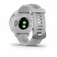 Smartwatch GARMIN Forerunner 55 White 1,04"