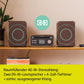 Mini Hifi Pure PURE CLASSIC STEREO MINI CAFE