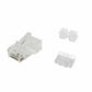 Category 6 UTP RJ45 Connector Equip 121146 Transparent 100 Units