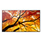 Videowall Monitor Sharp 60006058 4K Ultra HD 86"