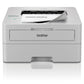 Laser Printer Brother HL-L2865DW