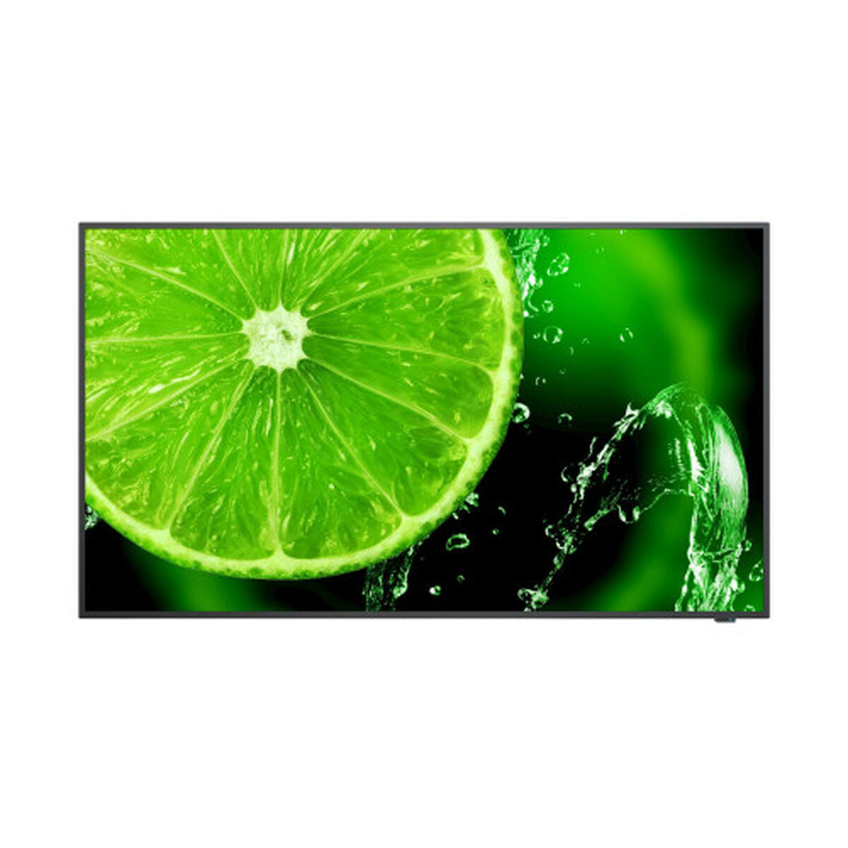 Gaming Monitor NEC 60006113 Full HD 32"