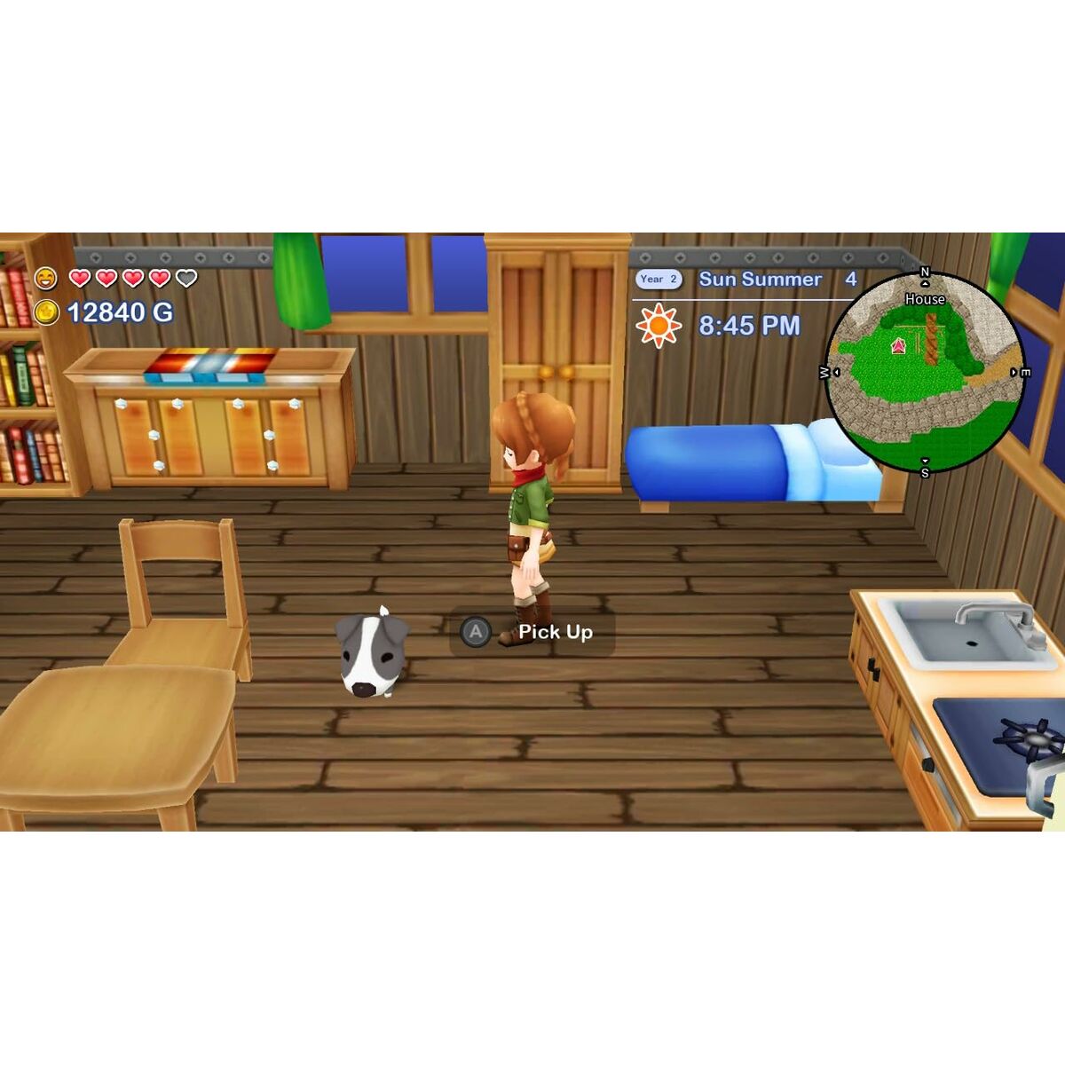 Video game for Switch Just For Games Harvest Moon The Lost Valley & Skytree Village