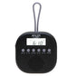 Radio Adler ad 1912 Black