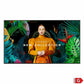 Videowall Monitor Samsung QH43C 4K Ultra HD 43"