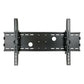 Fixed TV Support TooQ LP4970T-B 37"-70" 75 kg Black