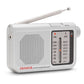 Transistor Radio Aiwa RS55SL Grey