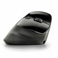 Mouse NGS