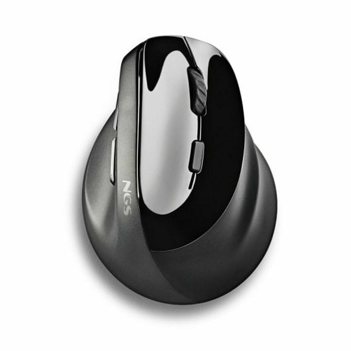 Mouse NGS