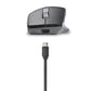 Mouse NGS LUSH-RB