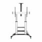 TV Mount Aisens FT100TE-125 100" 60-100"
