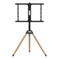 TV Mount GEMBIRD TVS-75ST-01
