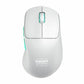 Wireless Mouse Cherry