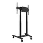 TV Mount Neomounts FL55-875BL1